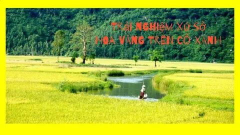 Chấm điểm loạt “green flags” - Cảm hứng video marketing từ Hotspot Matrix_ứng dụng chỉnh sửa video miễn phí
