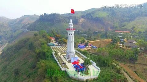 Bonobo: Nguồn Gốc Tiến Hóa Của Ngôn Ngữ Con Người?_chiến lược hiệu quả tiếp thị video